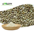 Proteína de semente de cânhamo à base de proteína de caroço de cânhamo vegetal em pó